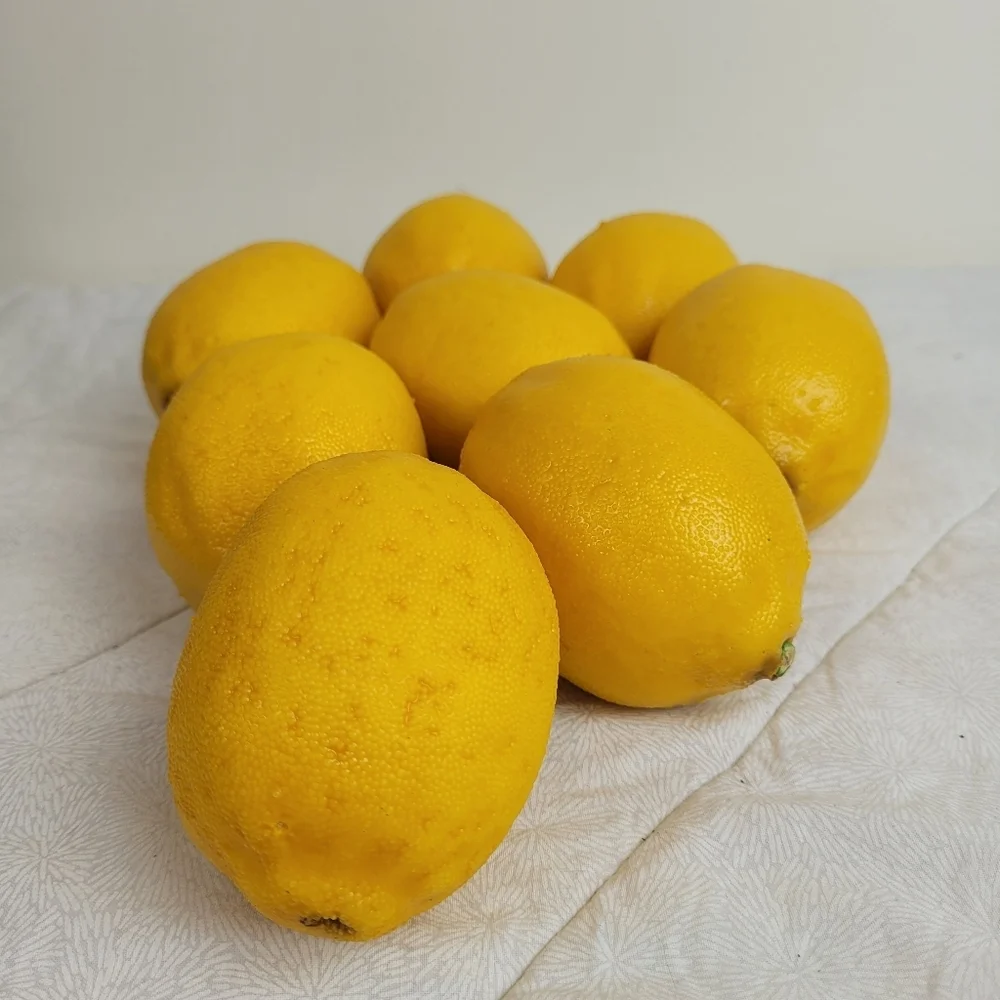 Lot Of 8 Faux Yellow Lemons Approximately 3 x 2 Each Home Decor Staging Color